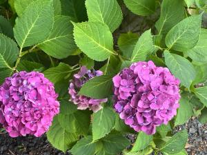 Le Chalet de Juliette