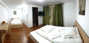 Pensiunea Casa Zarnesteana