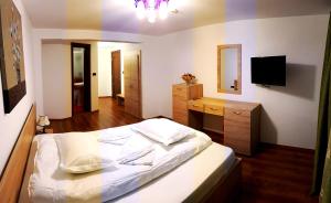 Pensiunea Casa Zarnesteana