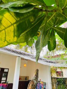 Lagoon Home Stay