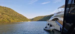 ANIMA MARIS Yacht