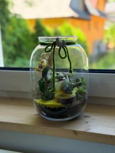 Apartamenty Premium Biały Dunajec , Jacuzzi , Sauna, Darmowy parking, Kominki w apartamentach, Widok na góry