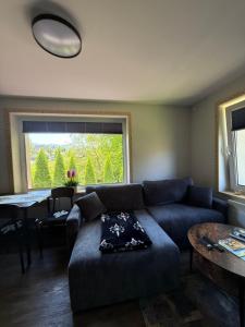 Apartamenty Premium Biały Dunajec , Jacuzzi , Sauna, Darmowy parking, Kominki w apartamentach, Widok na góry