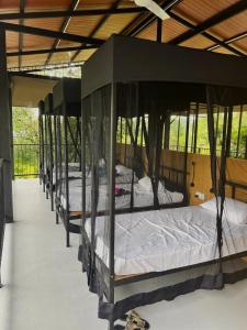Wildcat hostel Yala