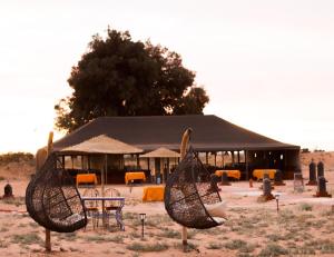 Desert Paradise Lodging