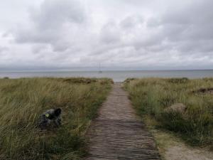 Tranquil Retreat at Ulvshale - By Traum Ferienwohnungen