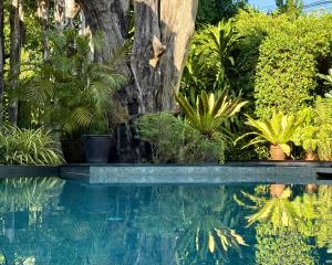 3-bdr Premium Villa in Nai Harn Baan Bua by Neo With Love