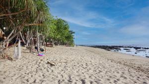 TinyHouse at TigerCave