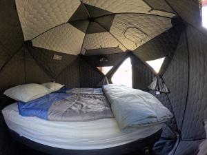 Yellow Plum Camp Pehoé