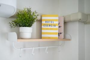 New Modern Escape Patong Poolvilla 2 mins to beach