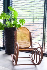 Moulinas - Studio de Rêve avec Jardin - 5 étoiles