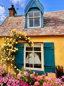 Romantic luxury Cottage right next to the ocean