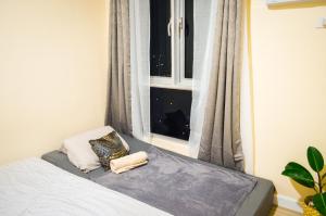 Spacious 1 BR Staycation at AVIDA Towers Riala in IT Park, Cebu City