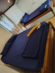 Coconut tree cafe Gokarna