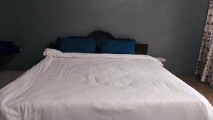 Swanky Sojourns Homestay with single AC Bedroom