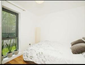 Stylish Apartment Near City Centre