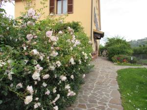 Casa Angolo delle Rose 2