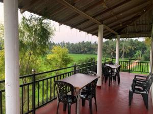 Bird Nest Guest House
