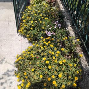 La Candelora Casa Vacanze