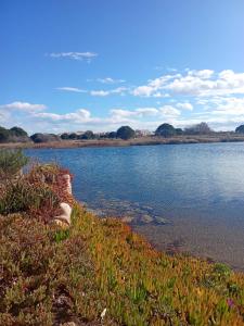 Maison cosy Santa Barbara