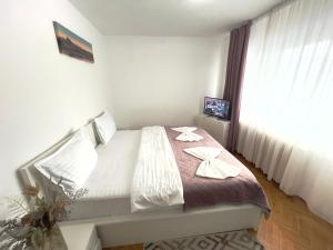 Central Palace View Apartment