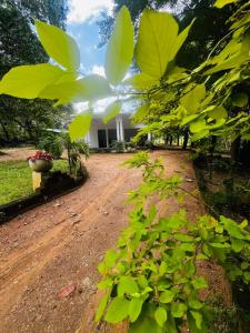 Sigiriya Yahana