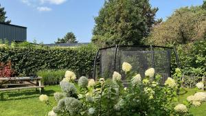 BadHoophuizen 6-per Bungalow Veluwemeer Trampoline