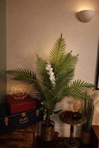 Group Accommodation for Up to 20 Adults - Private Gated