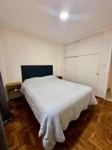 Departamento Boulevard Pellegrini