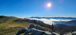 Appartement cosy avec jardin privatif classé 4 étoiles