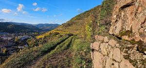 Appartement cosy avec jardin privatif classé 4 étoiles