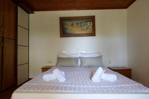 Green Villa in Delvine