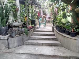Olya home stay