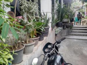 Olya home stay