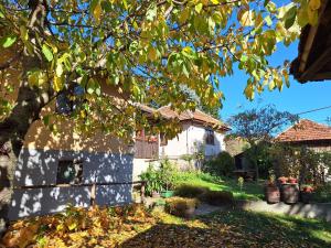 Seosko-turističko domaćinstvo Drenak