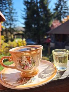 Seosko-turističko domaćinstvo Drenak