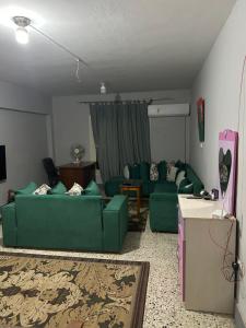 All you need in zayed