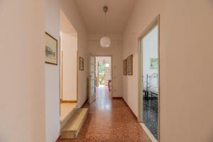 Windrose Sunny Corner