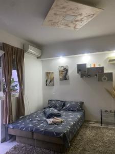 ---Apartmani Radosavljevic---