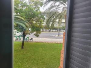 Solo or Couples , Solo o Parejas