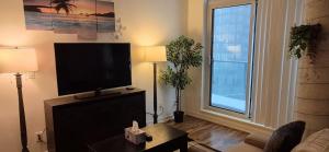 Liberty Village Condo Lake and BMO Field View