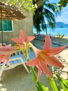 Sunset Beach House in East Phuket