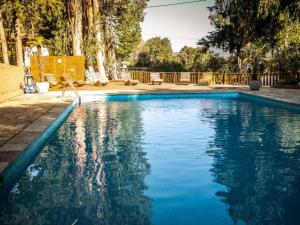 Bungalow Confort 5 Pers avec Terrasse - API-1-52-1660