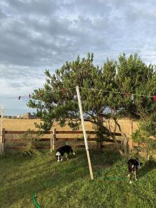 Alojamiento San Eduardo del Mar