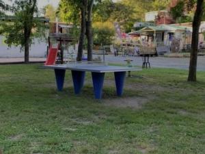 Charmant Mobil-home 4 Pers avec Terrasse à Chazelles-sur-Lyon - API-1-52-1693