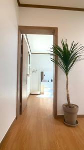 동홍별장 Fantastic Tangerine Orchard, Hallasan View, Private Villa for One Team Only, Large BBQ, Toddler Hot Spring Pool, Large Family, Top Rated Location