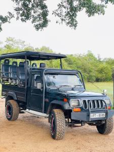 wild elephant Safari Cottage