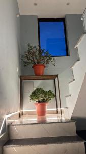 Tranquil Trails Home Stay Naddi Dharmshala 1BHK