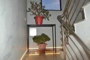 Tranquil Trails Home Stay Naddi Dharmshala 1BHK