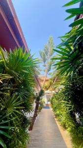 Virawan pool kohlarn วิราวัน พูล รีสอร์ท ที่พักเกาะล้าน